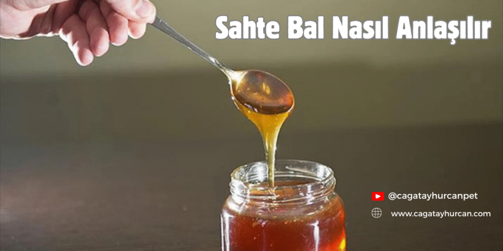 sahte bal nasıl anlaşılır