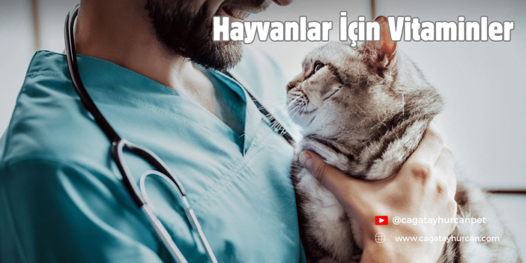 Hayvanlar İçin Vitaminler