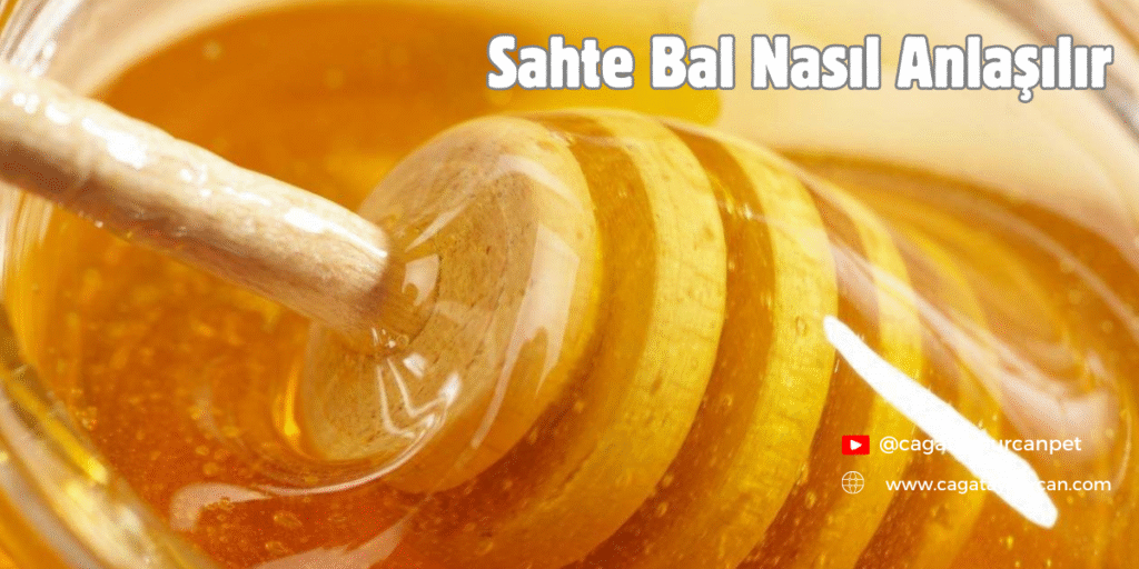 sahte bal nasıl anlaşılır