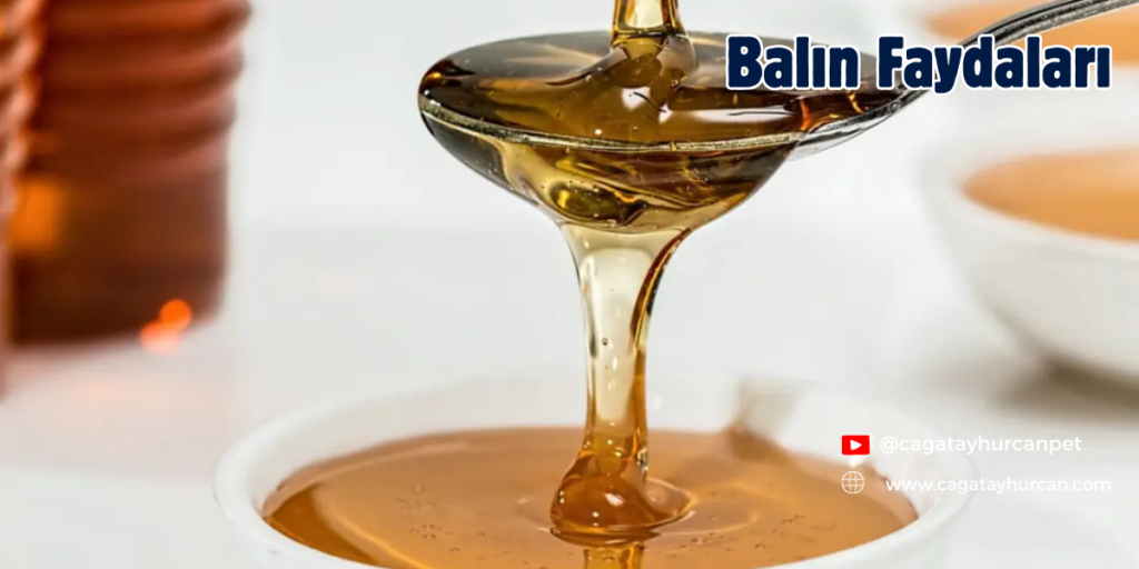Balın Faydaları