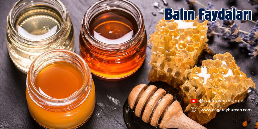 Balın Faydaları