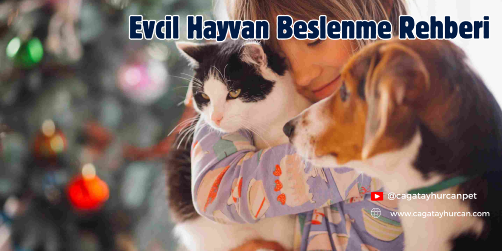 Evcil Hayvan Beslenme Rehberi