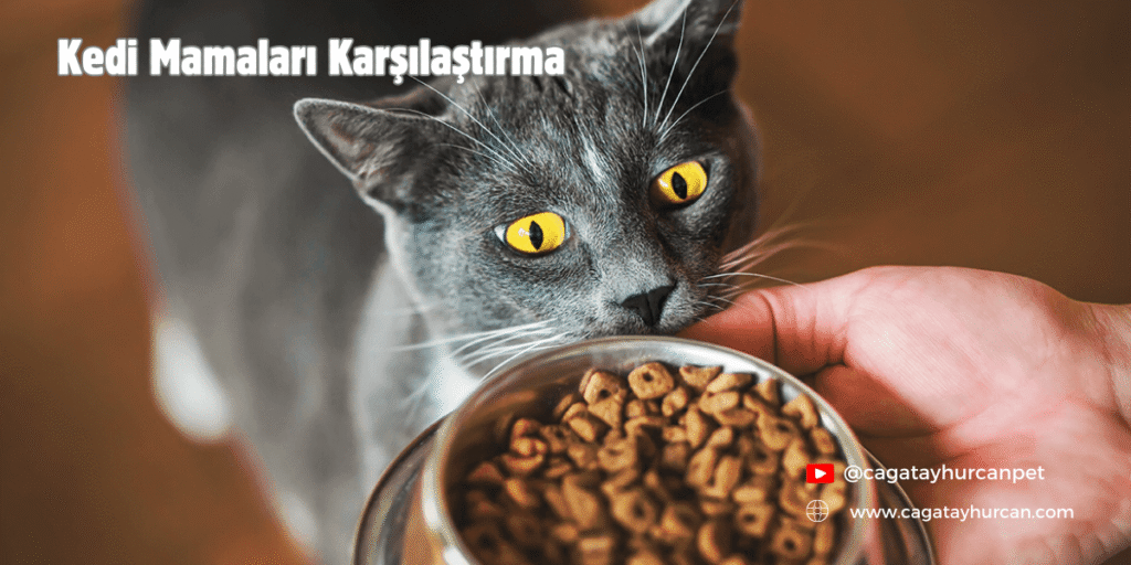 Kedi Mamaları Karşılaştırma