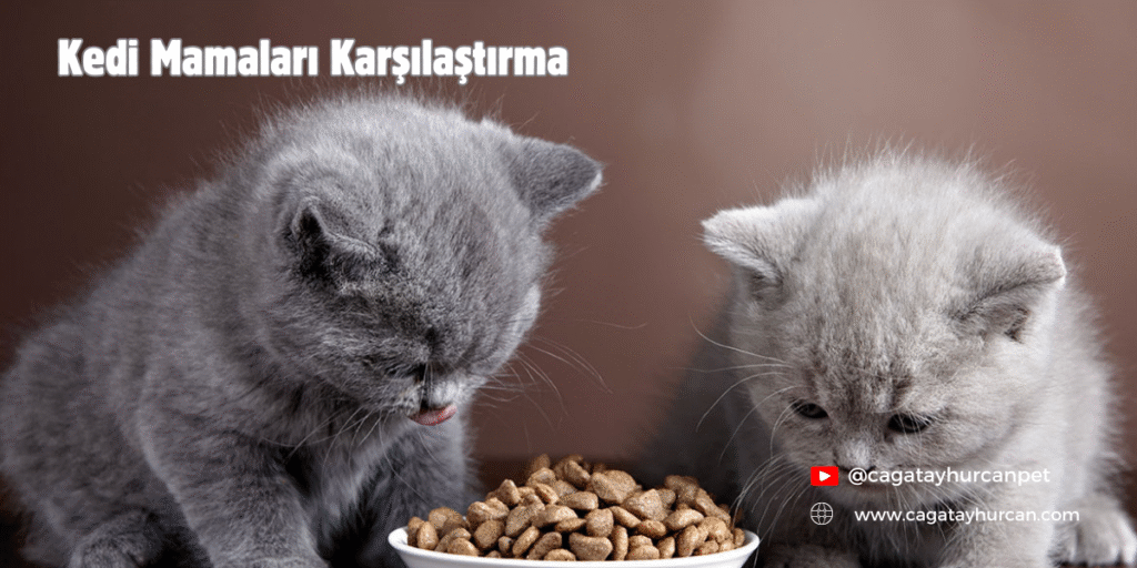 Kedi Mamaları Karşılaştırma