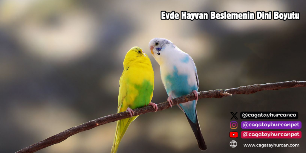 Evde Hayvan Beslemenin Dini Boyutu